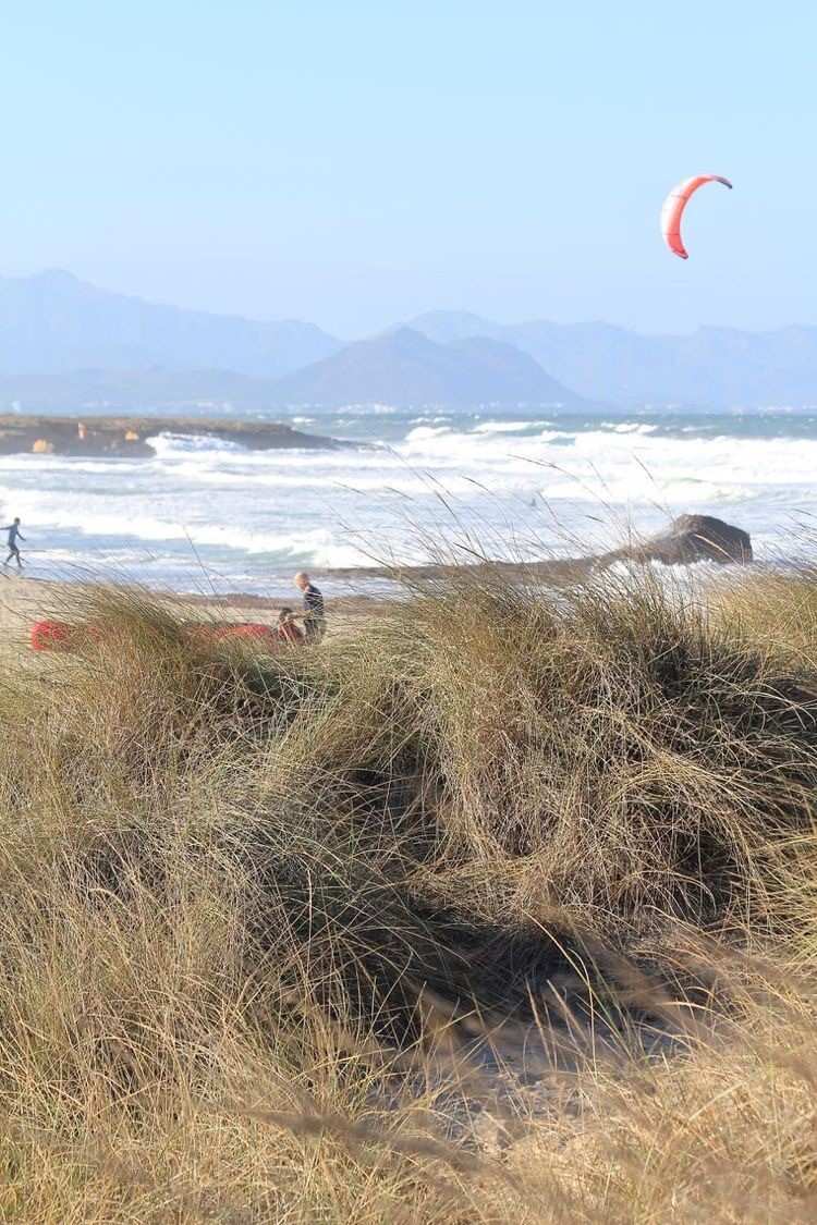 Playa de Sa Canova Beach